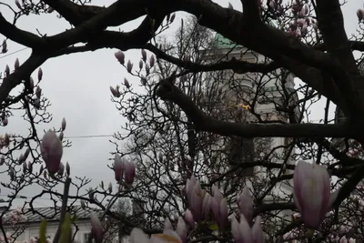 DSC_6999 (Large).JPG